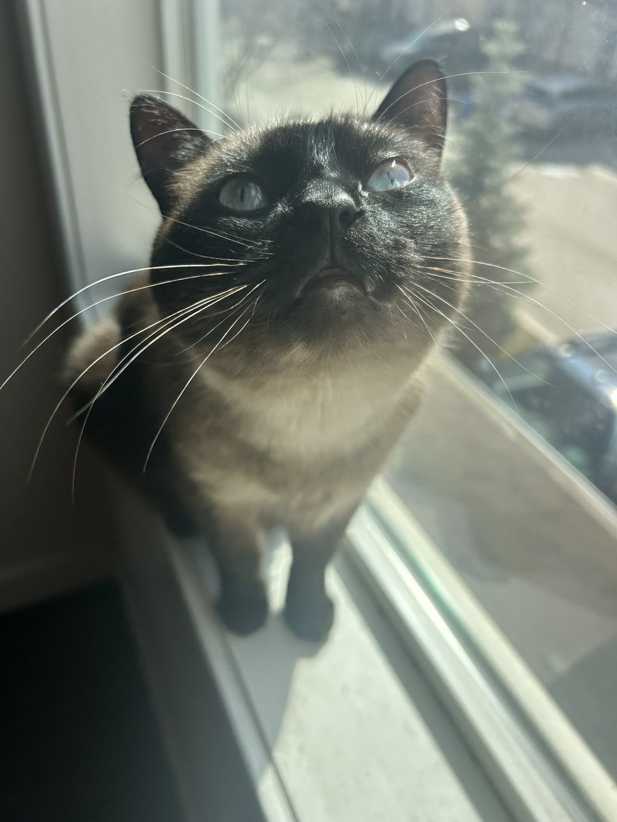 vicky dicky 🇻🇪 tweet media