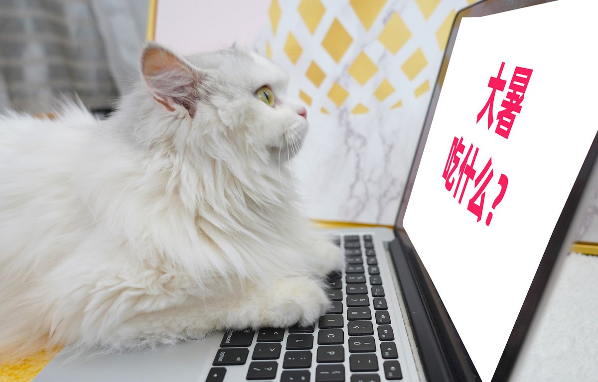 teiara minor tweet media