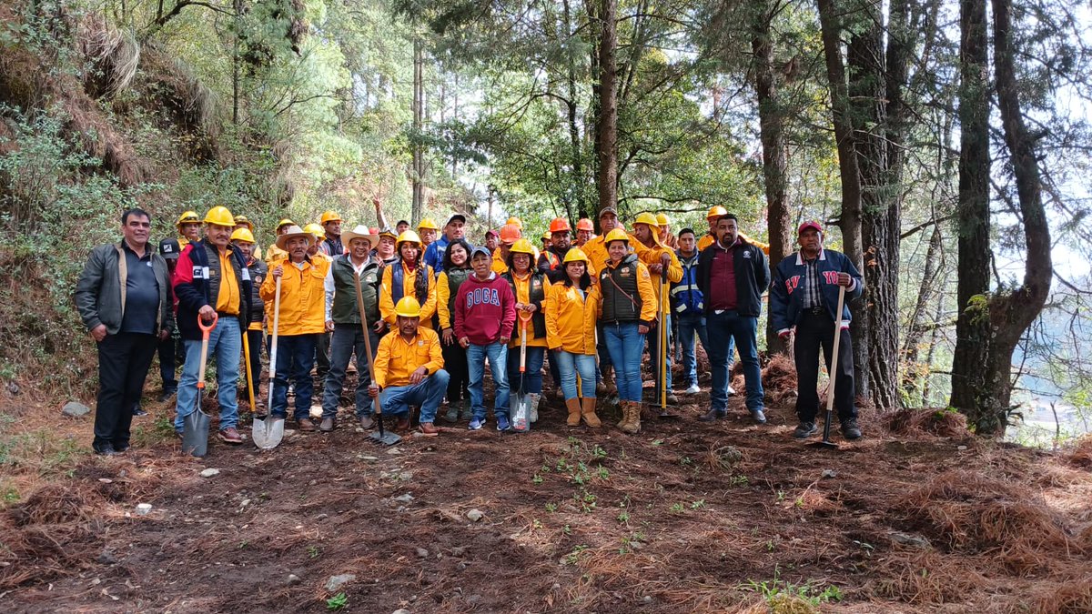 Probosque_'s tweet photo. #CapacitaciónForestal | En San Miguel Oxtotilpan de #Temascaltepec, #Probosque llevó a cabo un curso de inducción al manejo forestal a núcleos agrarios, brigadas comunitarias y sector técnico, como parte de los requisitos para el mantenimiento de certificación internacional FSC. https://t.co/JZ84koGZS3