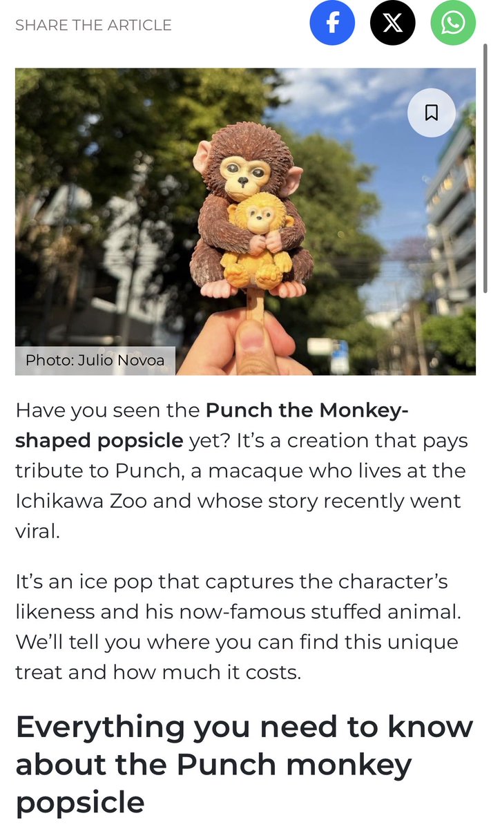 CARLOS🏺 tweet media