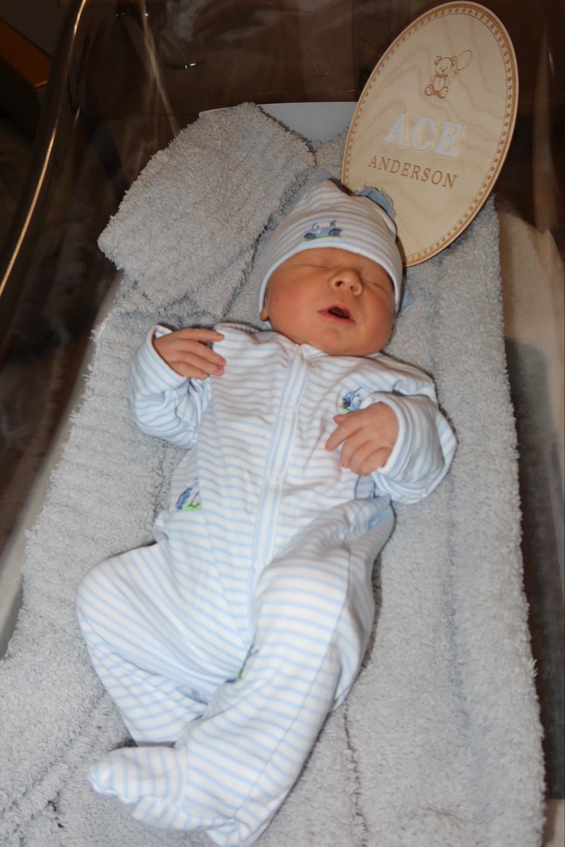 Meghan Payton Anderson tweet media