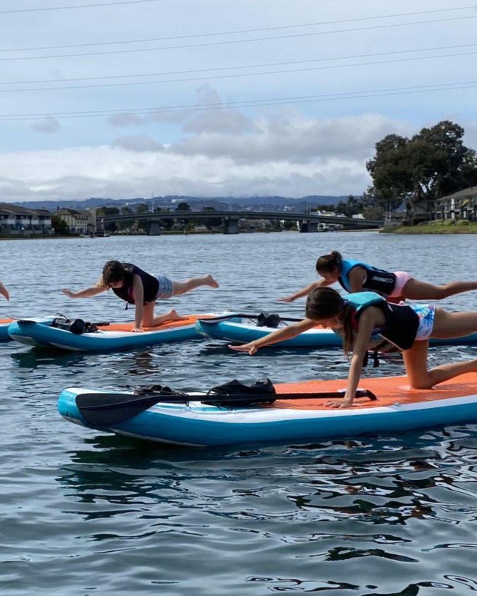 RealtorRumana's tweet image. #FitFriday looks different when it’s built into where you live.

——
Rumana Jabeen - REALTOR®
650-743-4503 | DRE# 01296366
Keller Williams Peninsula Estates
#FitFriday #FosterCityLiving #ActiveLifestyle #BayAreaHomes #LiveBetter