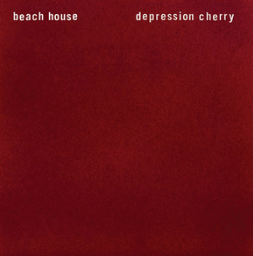 Joeyyyyyea tweet media