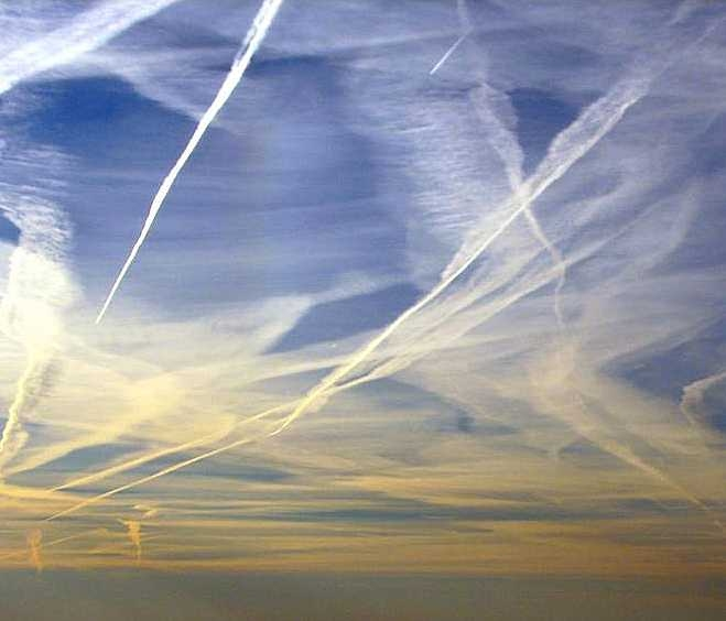 MyHamster🐹🐹🐹 tweet media