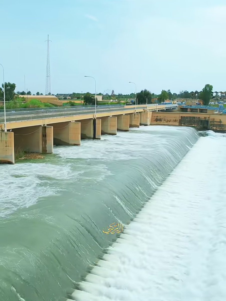 ببلز البنفسجية tweet media