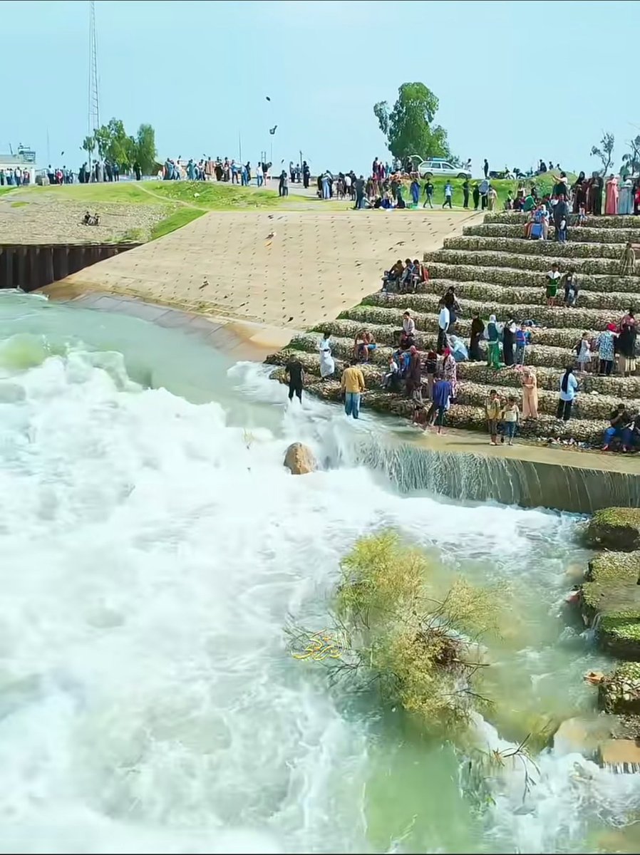 ببلز البنفسجية tweet media