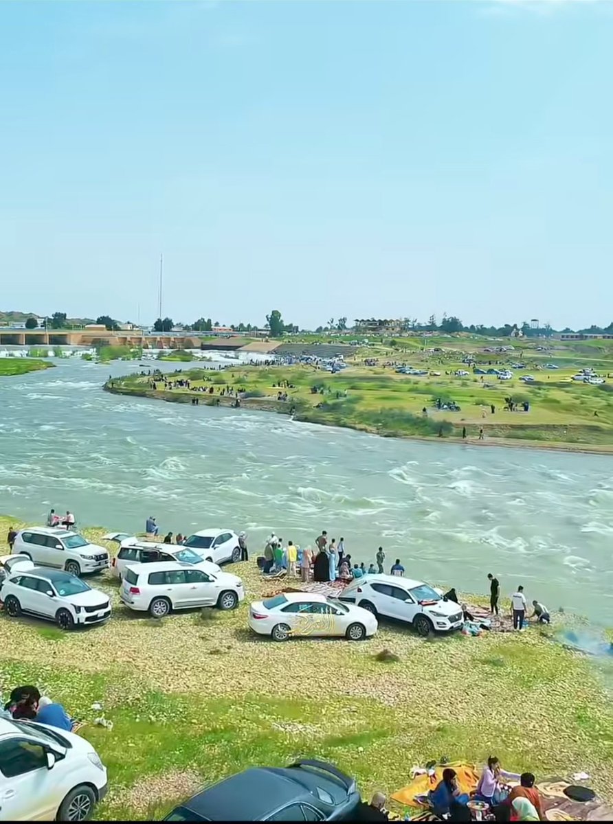 ببلز البنفسجية tweet media