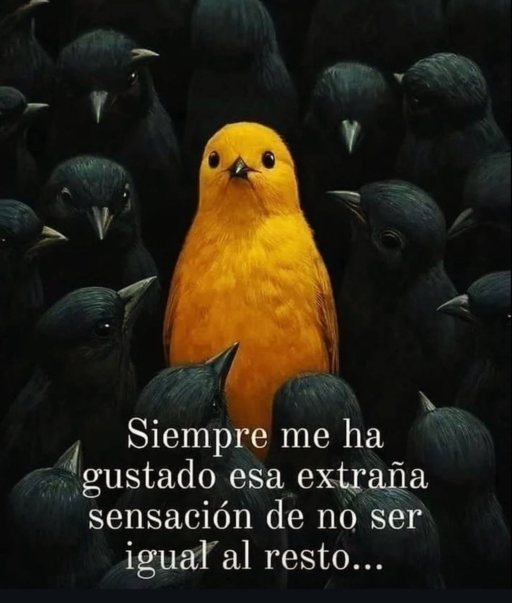 🏛 Filosofía Estoica 🏛 tweet media