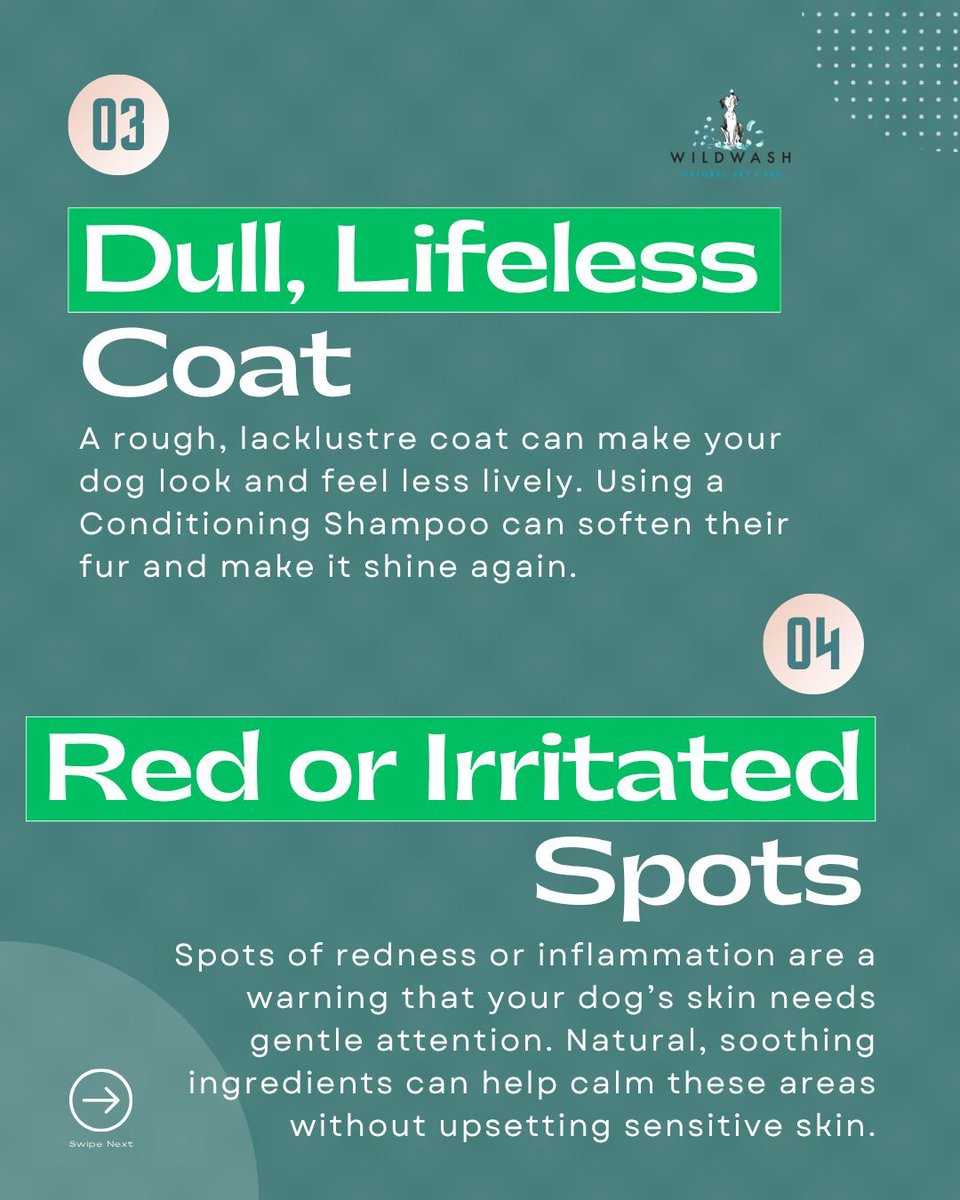 WildWash's tweet image. Soothe &amp;amp; Hydrate 🌿 

Dry, flaky skin can leave your dog feeling uncomfortable, especially after colder months or changes in weather. A gentle, hydrating routine helps restore balance, bringing back softness and comfort to the skin and coat.
#doggrooming #dogcare #dogsofinstagram