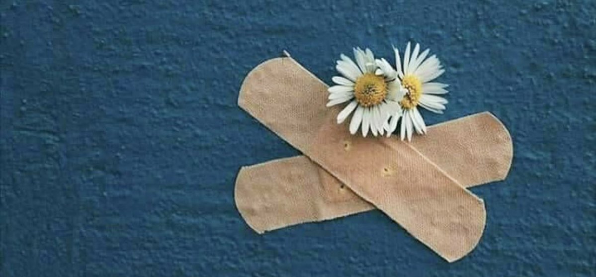 عامر ممدوح tweet media