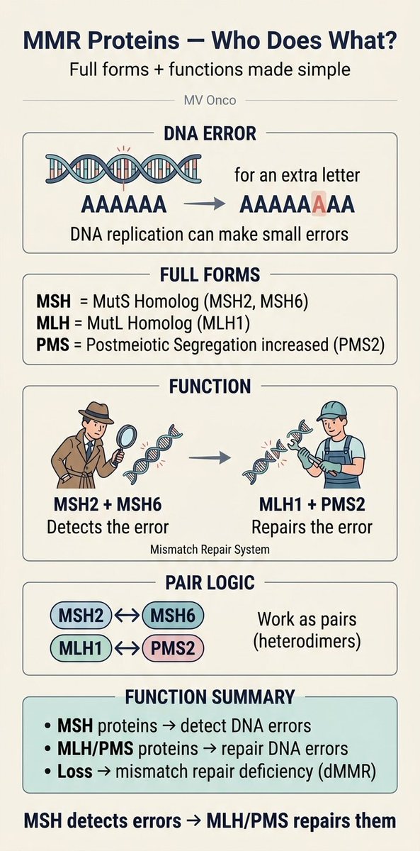 ChandrakanthMv's tweet photo. MMR proteins — the simplest way to remember
DNA replication often makes small mistakes (extra or missing bases).
The mismatch repair (MMR) system fixes these errors in two steps:
🔍 MSH2 + MSH6 → detect the error
🔧 MLH1 + PMS2 → repair the error
They work together as a single pathway — first detection, then repair.
If this system fails → errors accumulate → dMMR
And that’s where microsatellite instability (MSI) begins.
Bottom line:
Detection first → then repair
#MVOnco #Oncology #MedEd
