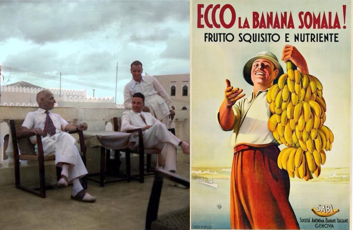 easttowestt 🌍 🇮🇱🇹🇼 tweet media