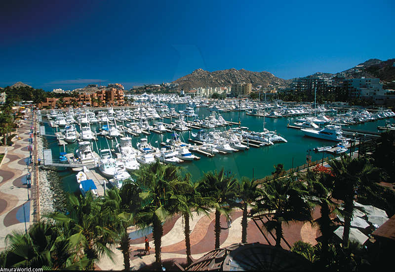 Fede Navarra tweet media