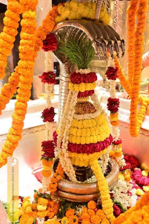 eOrganiser's tweet image. Have the sacred Shringar Aarti Darshan at Kashi Vishwanath Mandir in Varanasi, Uttar Pradesh.

#KashiVishwanath #Varanasi