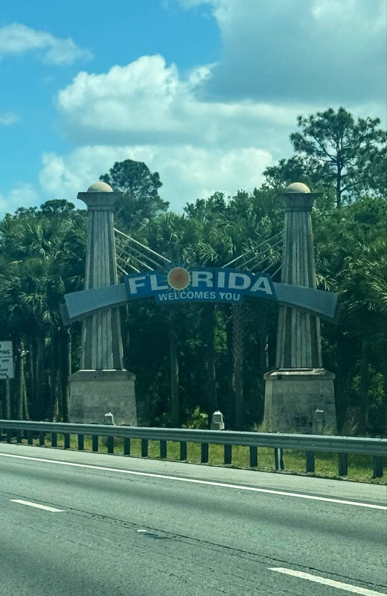 IzzyB 🐊 tweet media