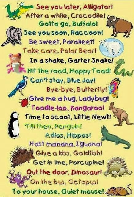 Despedidas en inglés usando animales 😃