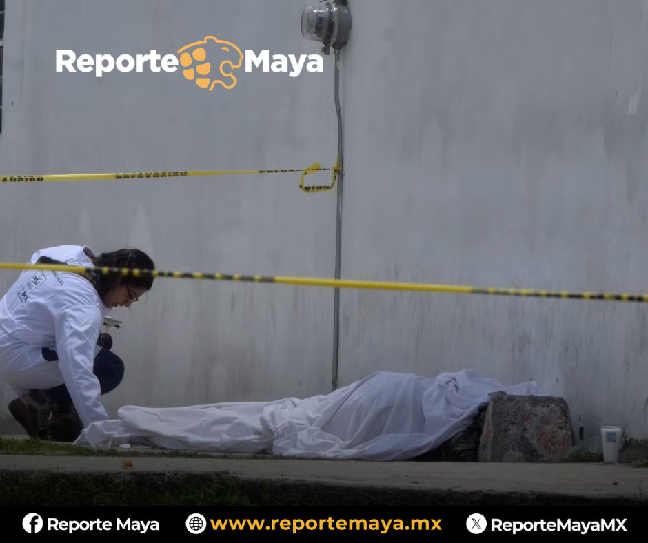 Reporte Maya tweet media