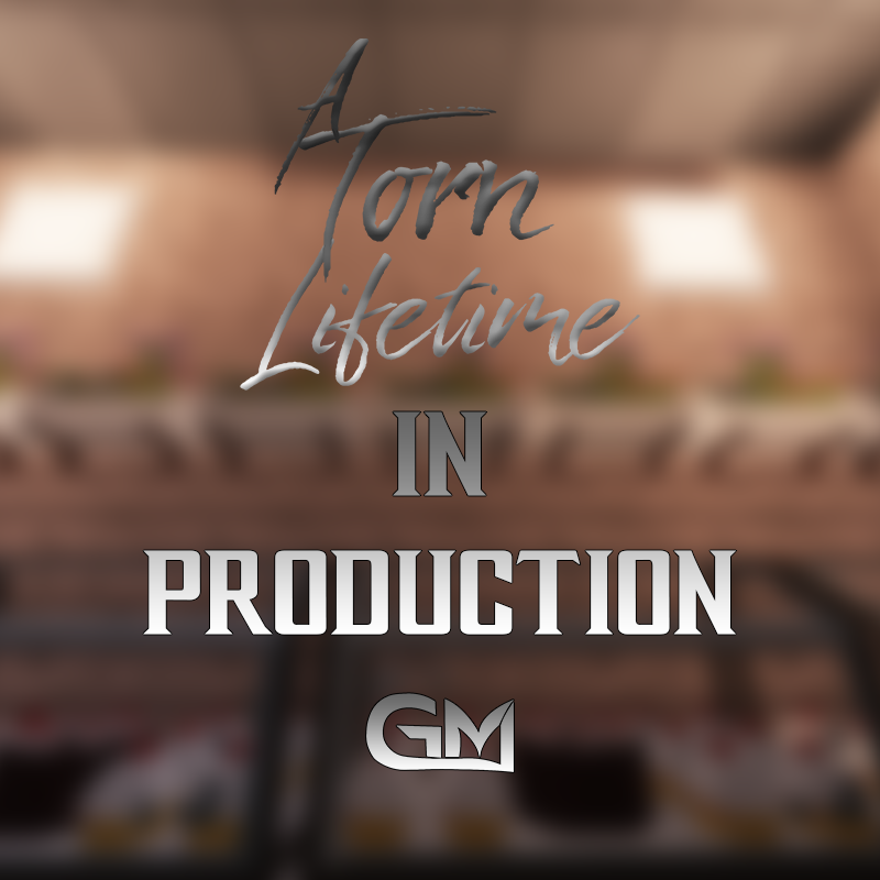 GJM Studios tweet media