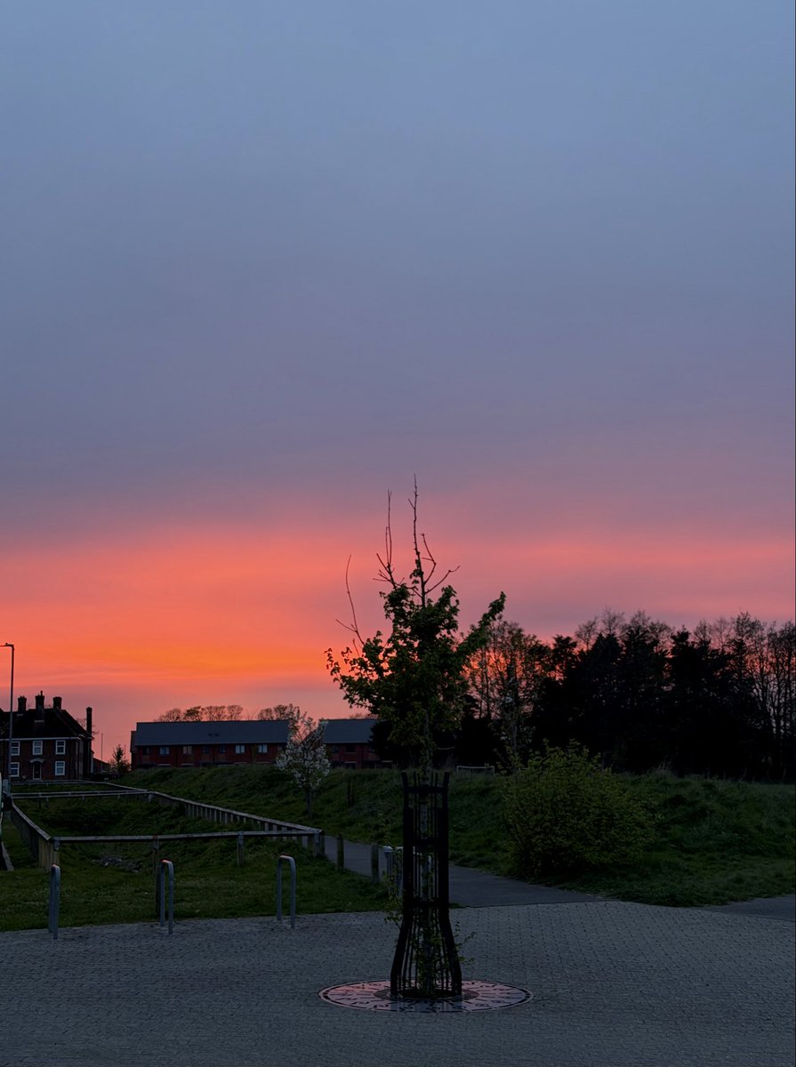 Kelly 👱🏻♀️🌊🔆 tweet media