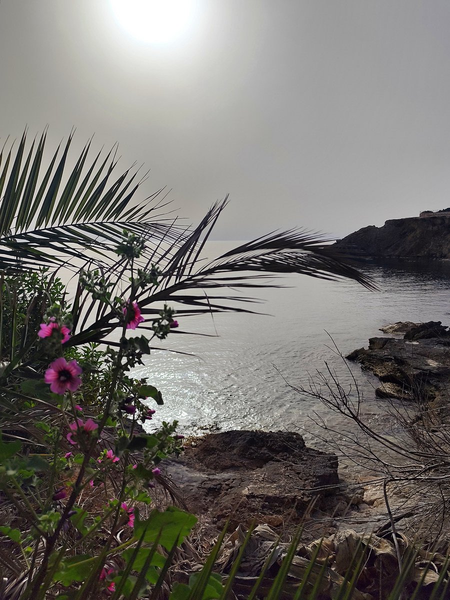 Mar...🐠 tweet media