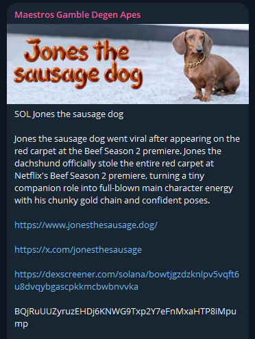 Jones the sausage dog tweet media