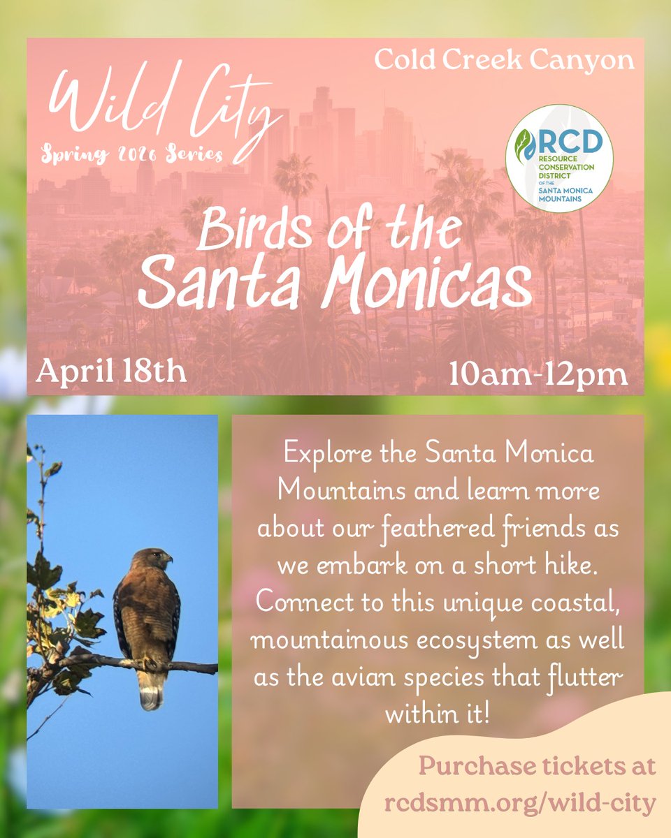 rcdsmm's tweet photo. The 1st workshop of our WiLD CiTY Spring Series is happening next Sat! 💐Connect with local birds &amp; novice birders alike! Led by an expert birder/educator with the RCD, Alexander deBarros (who also runs the IG @hollywood_birder)🦉Get ur tix &amp; more info at https://t.co/vUSgFZcRv6 https://t.co/lNIl4AW2bS