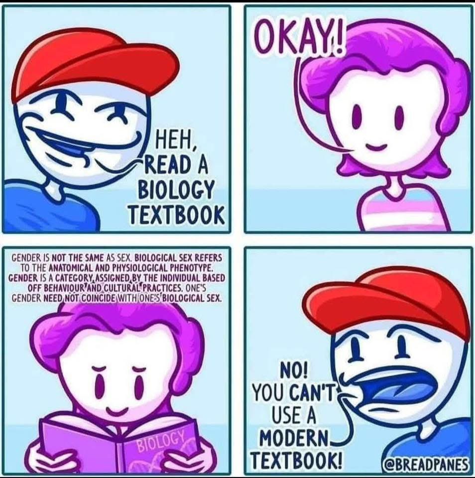 koiya 🏳️‍⚧️ tweet media