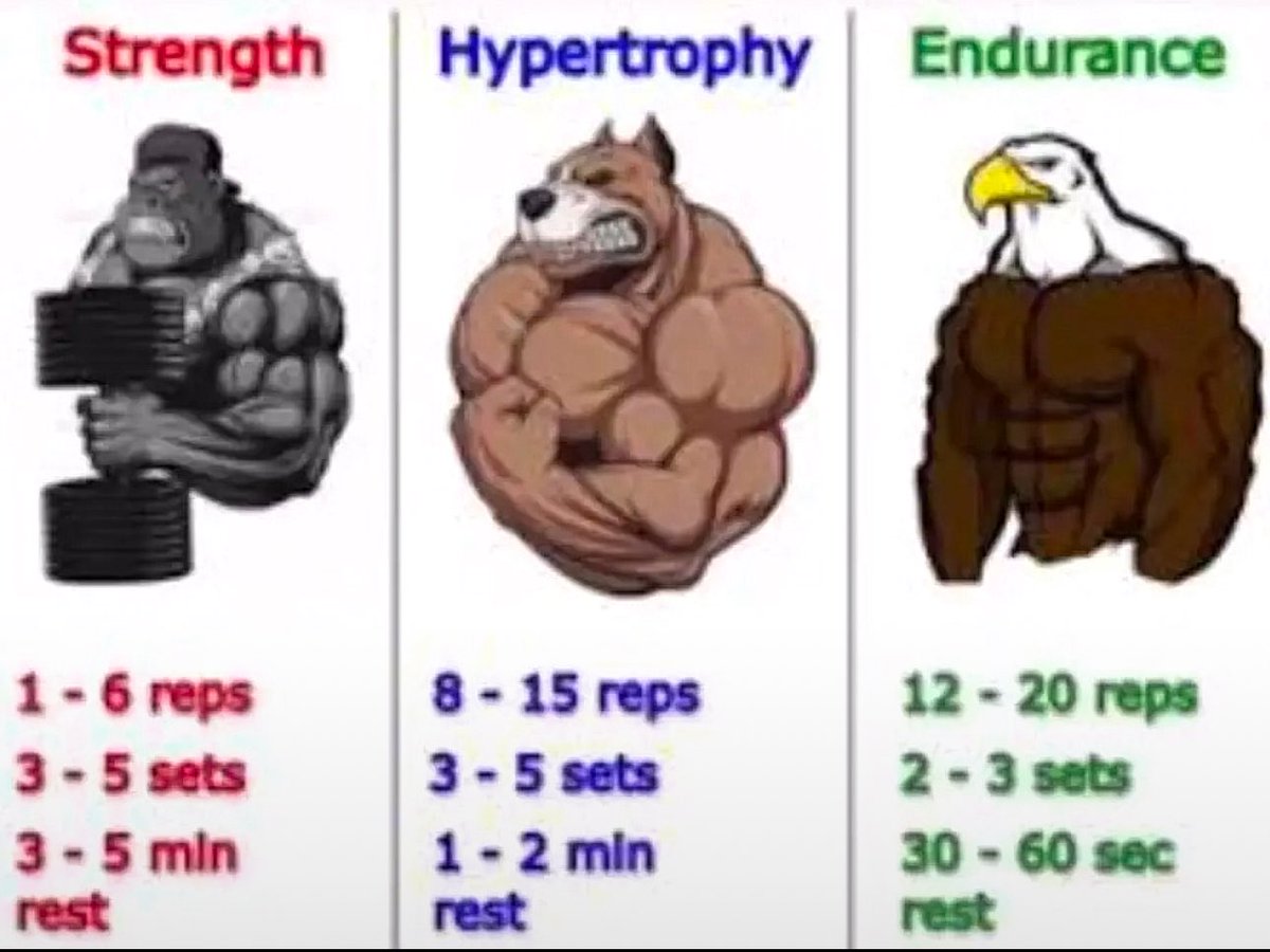 Yennnifferr's tweet photo. If this image doesn't haunt you at the gym, you might be the endurance eagle 😭✌️ https://t.co/bYAq14P6mi