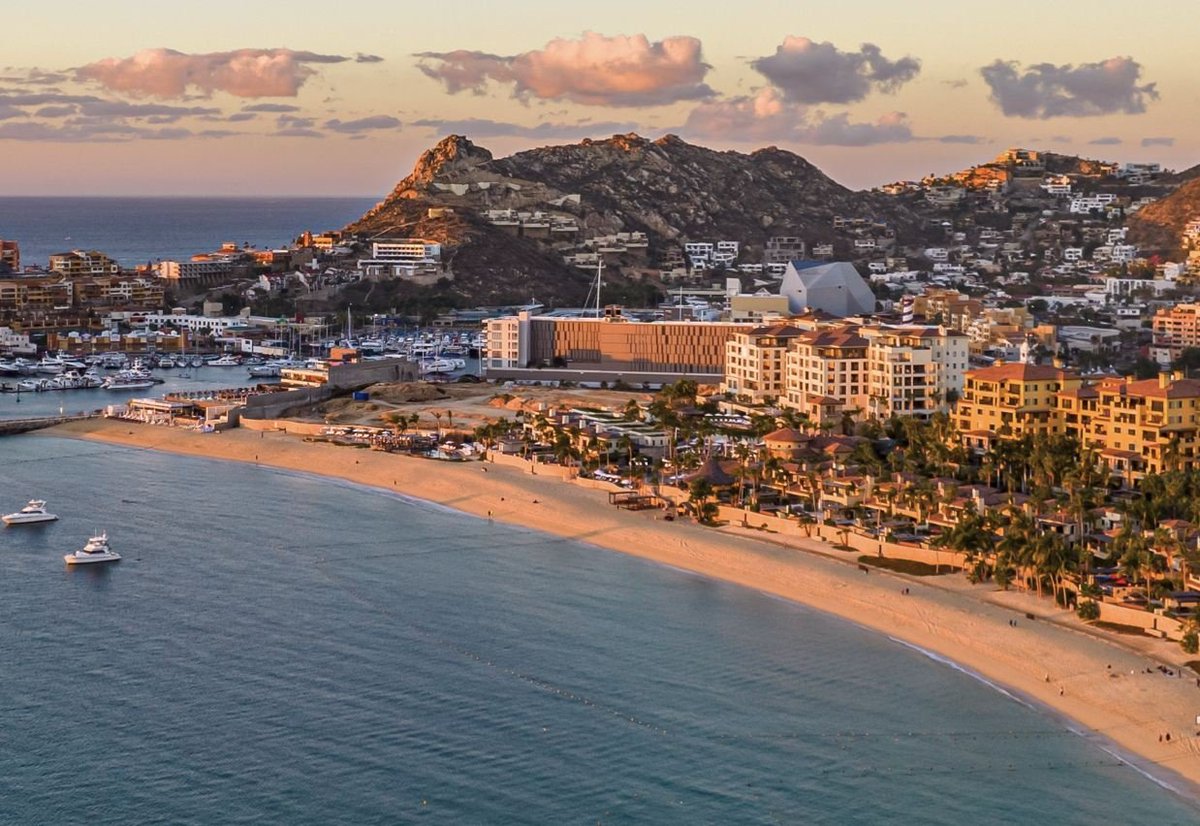 Fede Navarra tweet media