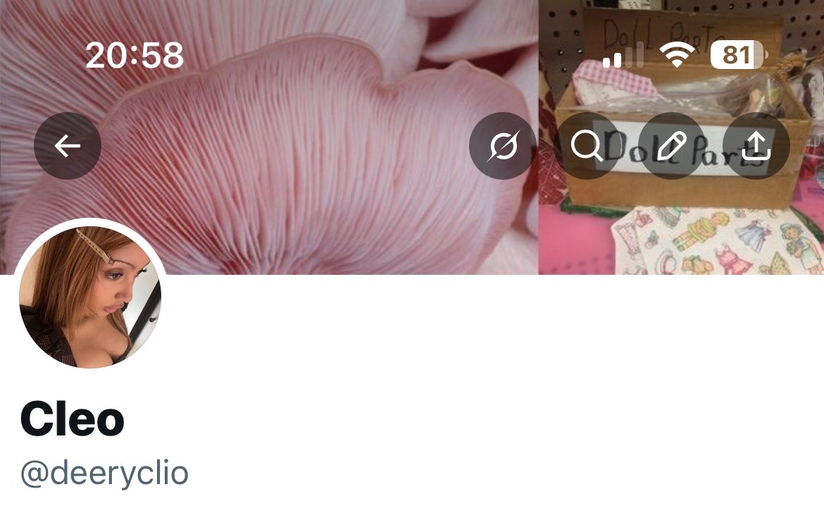 Cleo tweet media