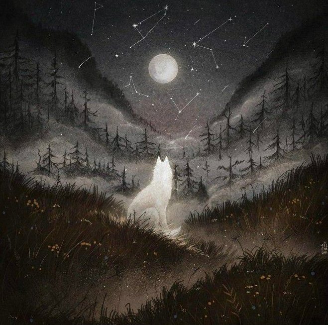 Mary-Ann Thorson𐃆 tweet media