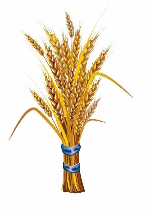 danhailuend's tweet photo. የማልችለውን 
“ነፍሴን እሰጥዎታለሁ” አልልም ነፍሱን የሰጠዎት አንድ እና ብቸኛ አለ ። 
ኩላሊቴንም እንዲሁ። 

የምችለውን 
ድምፄን ግን በካርዴ እሰጥዎታለሁ ! 

@AbiyAhmedAli , @PMEthiopia ለኢትዮጵያ በሠሩት ሥራ እና በመጣው ለውጥ በዚሁ አጋጣሚ ላመስግኖዎት ። 
🙏🏽🙏🏽🙏🏽