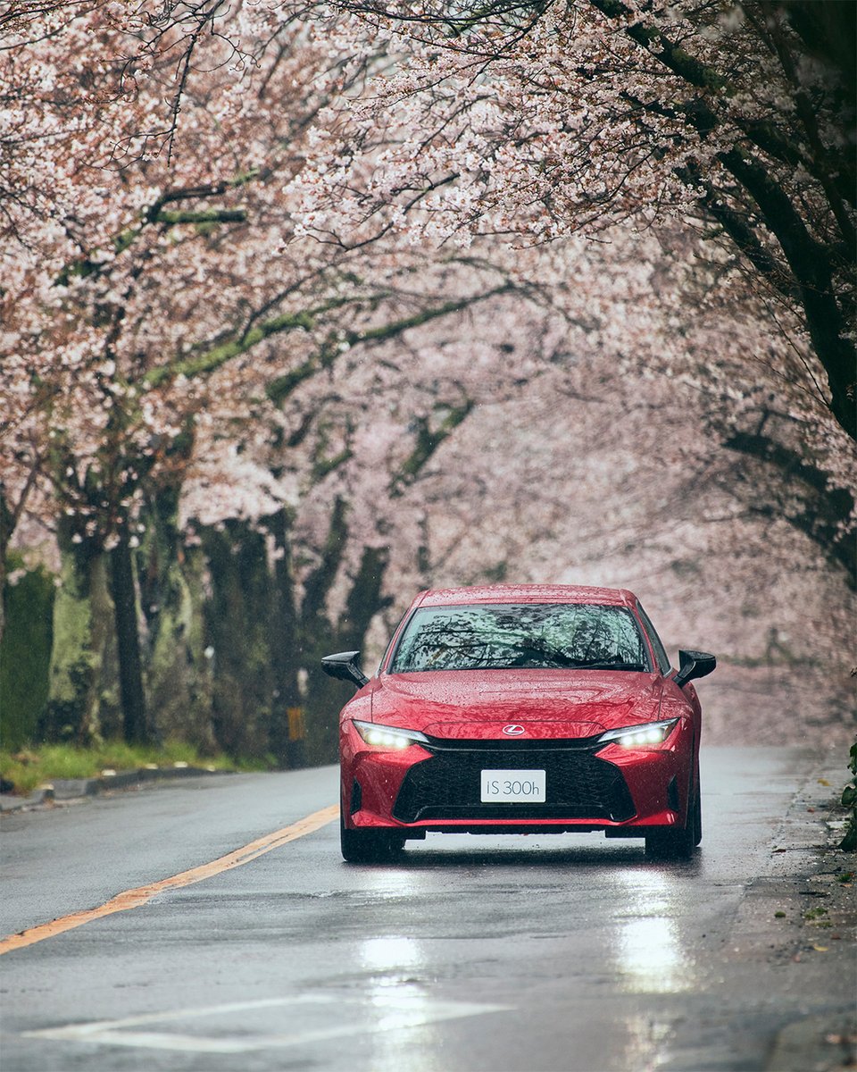 lexus_jpn's tweet image. - LEXUS IS×桜 -

#LEXUS #LEXUSIS #桜 #レクサスと日本の風景