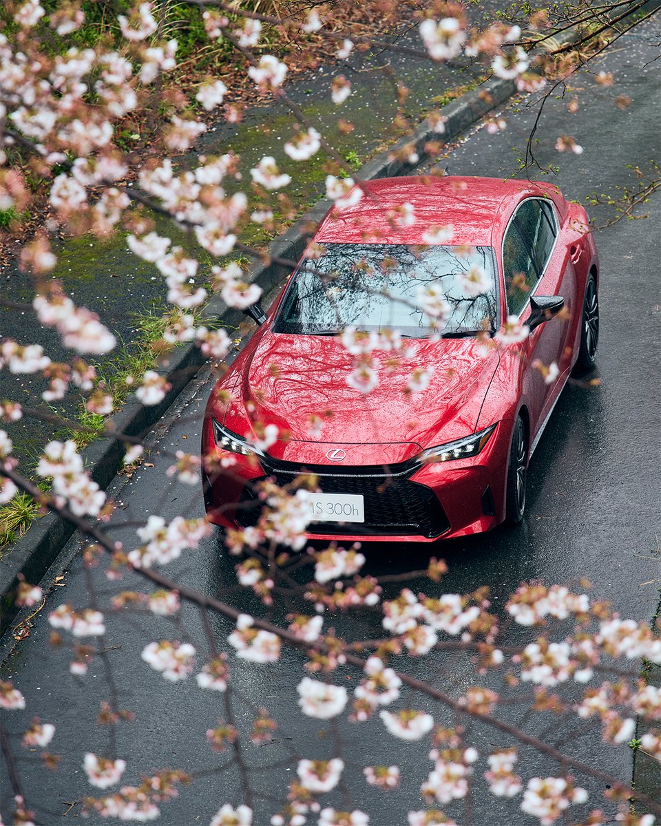 lexus_jpn's tweet image. - LEXUS IS×桜 -

#LEXUS #LEXUSIS #桜 #レクサスと日本の風景