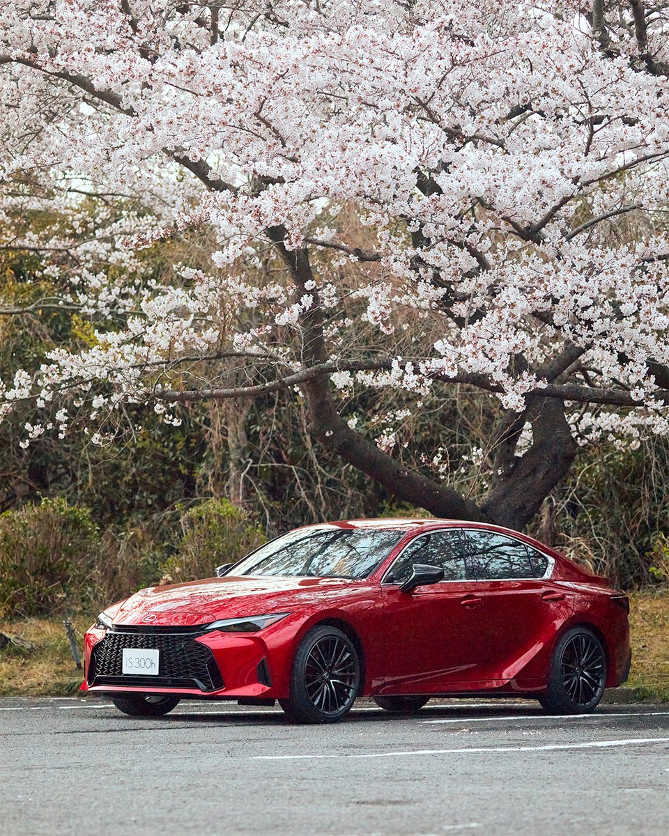 lexus_jpn's tweet image. - LEXUS IS×桜 -

#LEXUS #LEXUSIS #桜 #レクサスと日本の風景