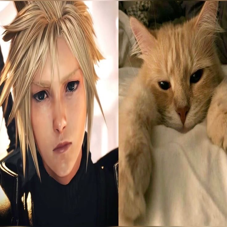 cloud strife daily tweet media