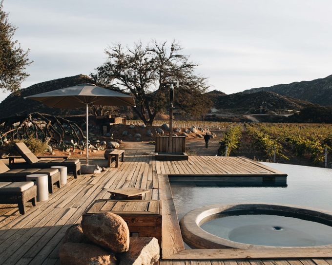 Fede Navarra tweet media