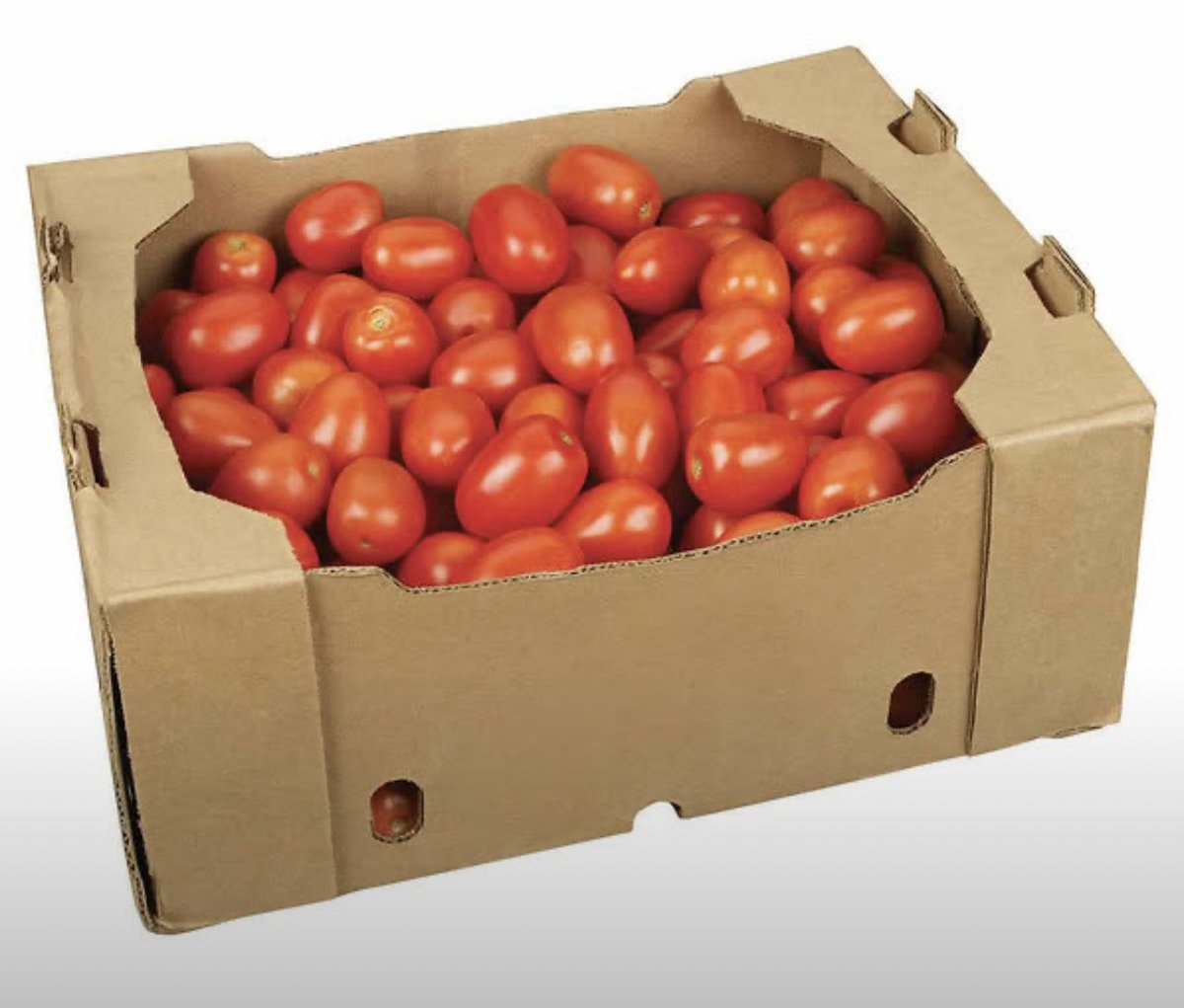 Eliane Dalla Valle tweet media