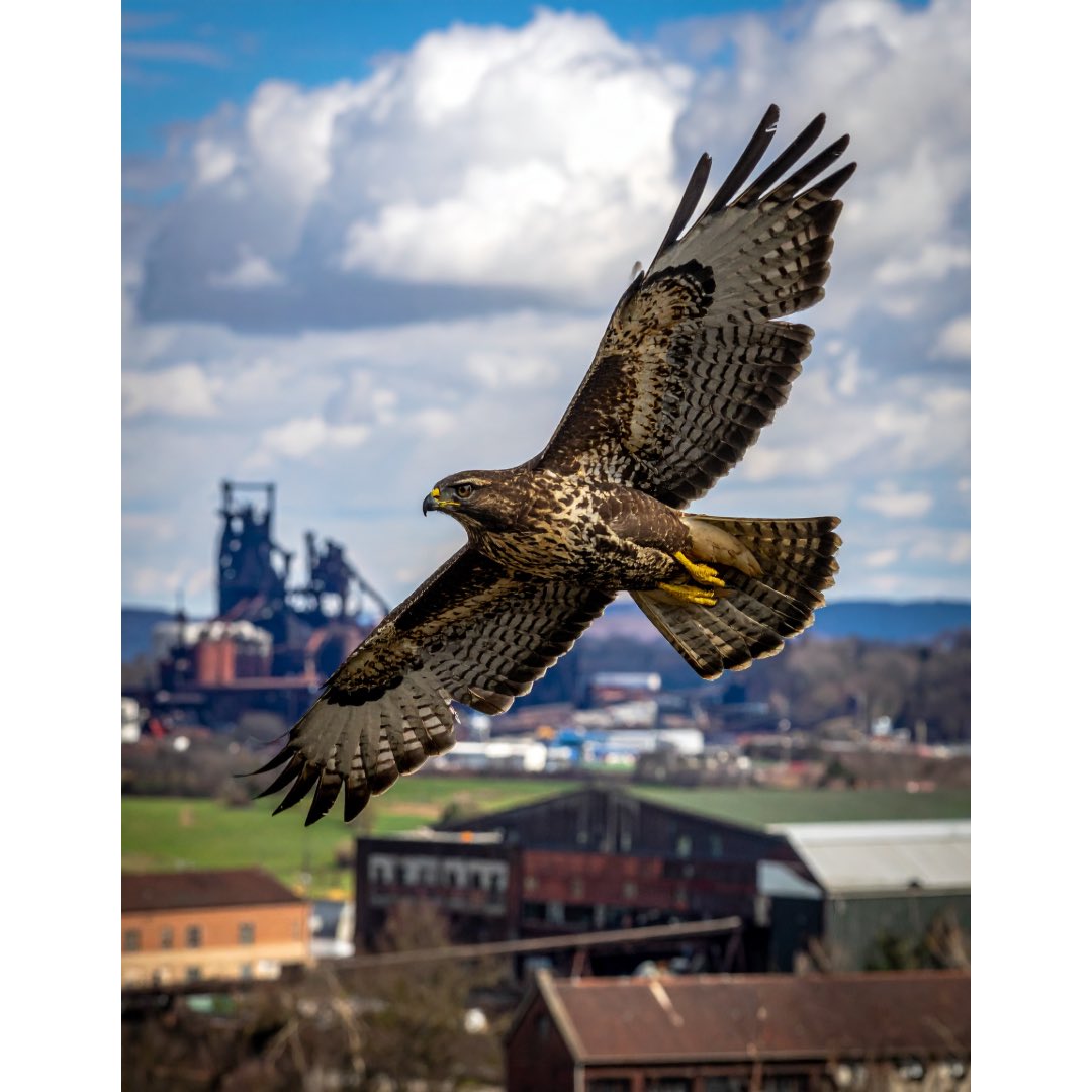 Lehigh Football Partnership tweet media