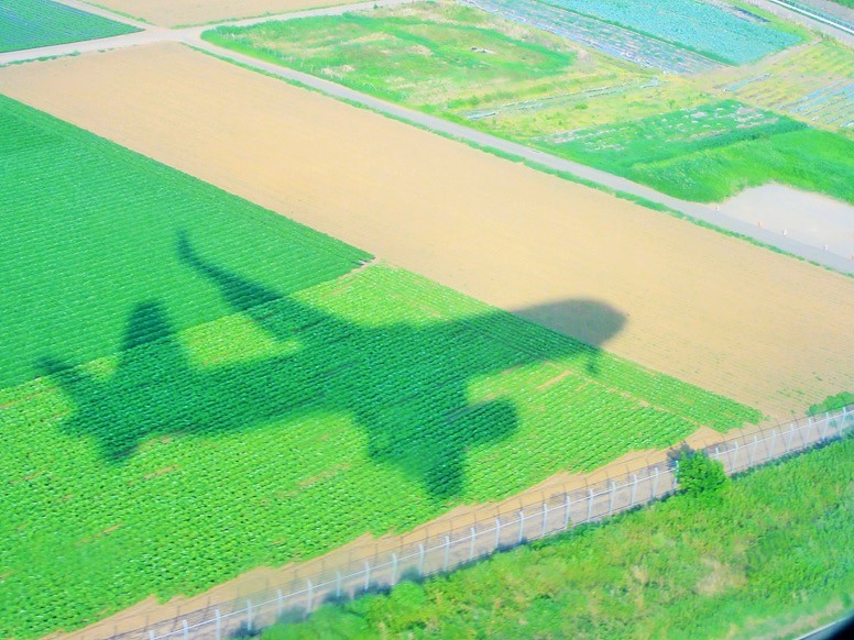 旅好き_鉄道飛行機好き tweet media