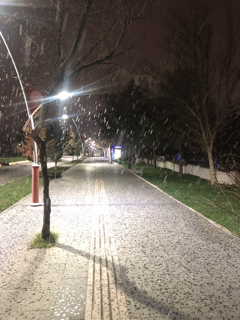 Sezer Öztürk tweet media