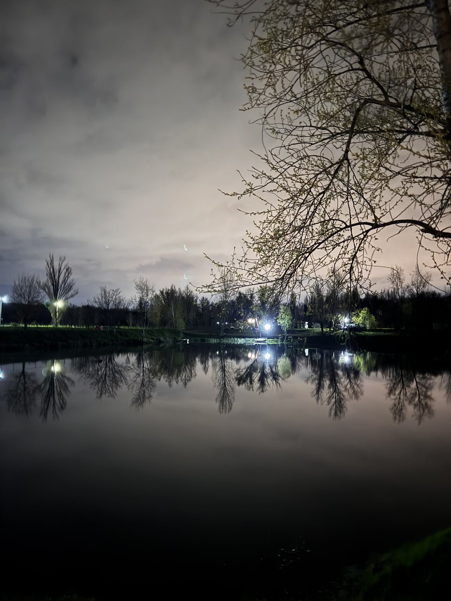 diana 🌷 #7forever tweet media