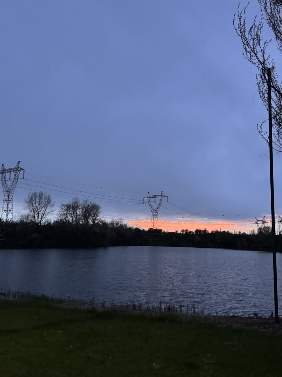 diana 🌷 #7forever tweet media