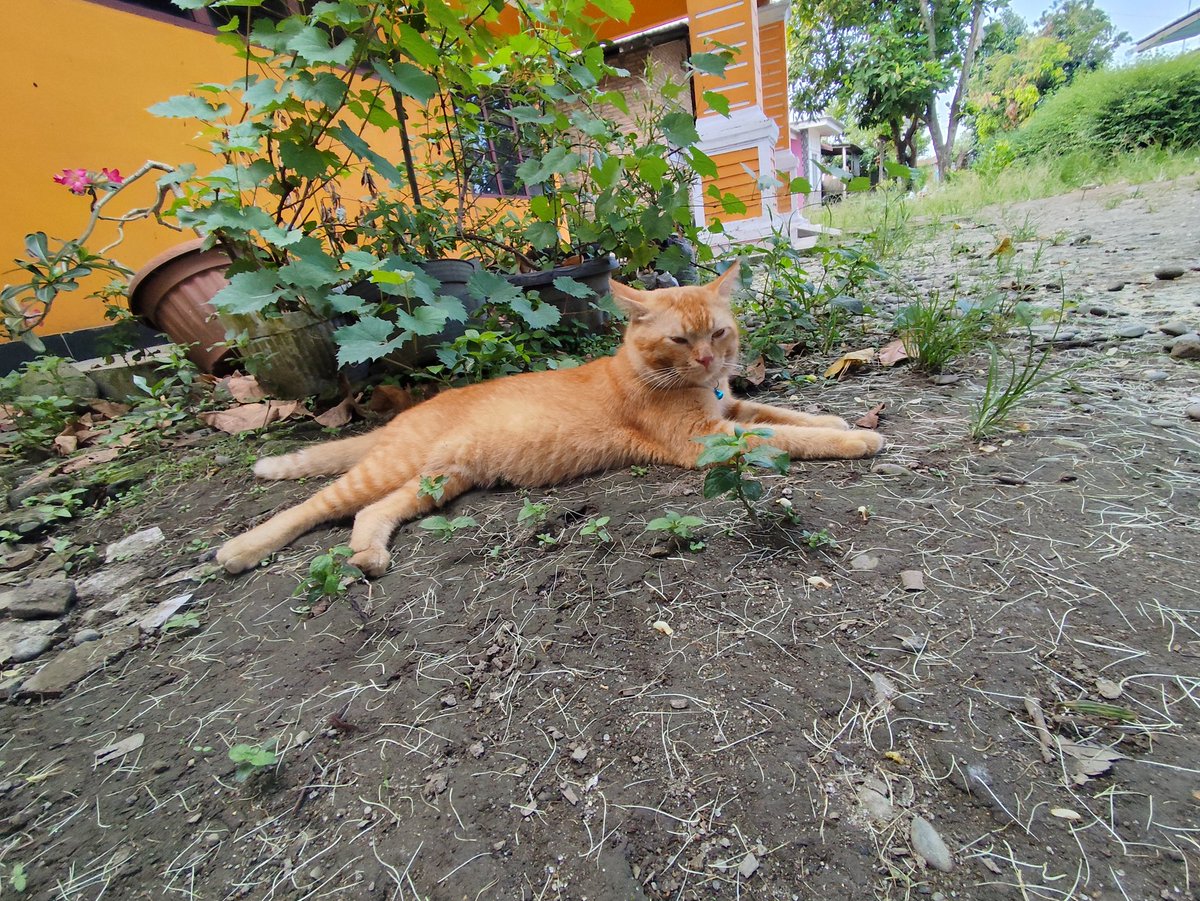 Aryandimln tweet media