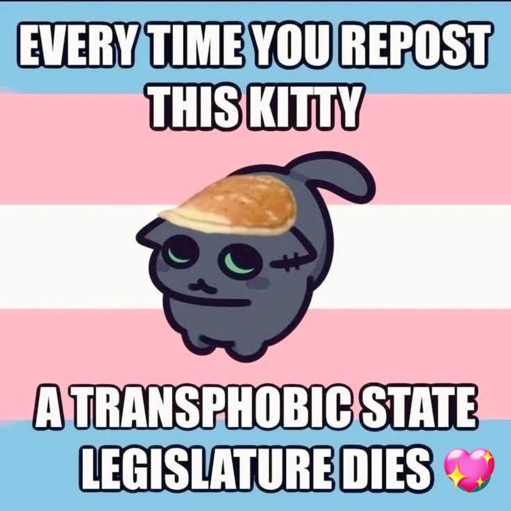 LucyFox🏳️‍⚧️ tweet media