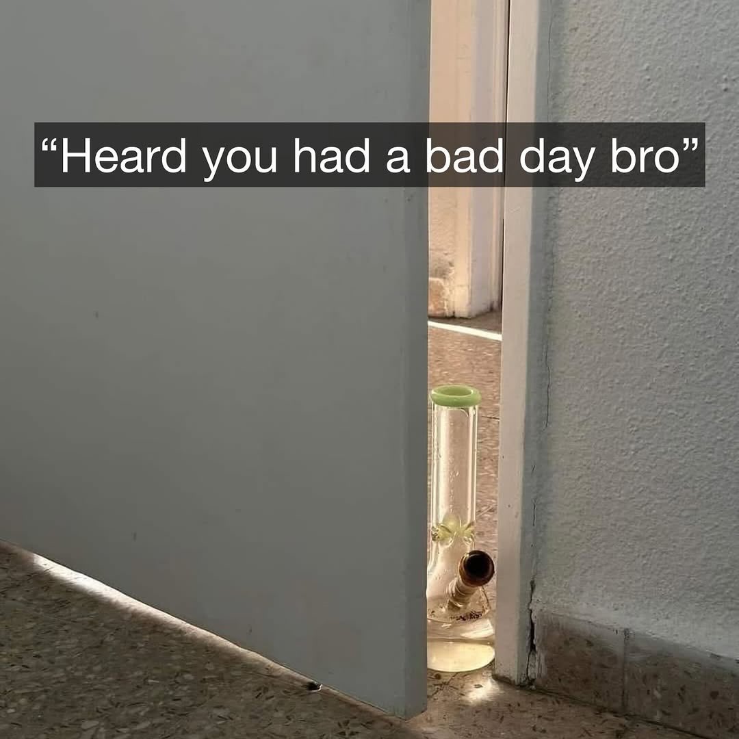 London Seed Centre tweet media