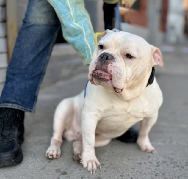 Tootsismyname🏴‍☠️ tweet media