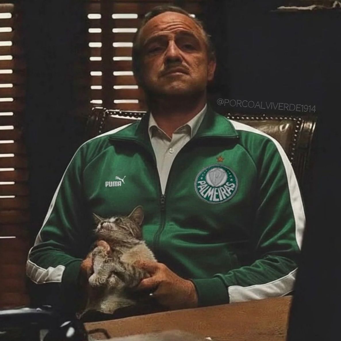 Fagabundissimo Torresˢᵉᵖ tweet media