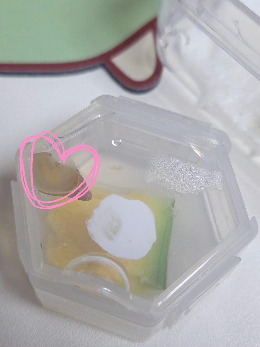 테풀잎 tweet media