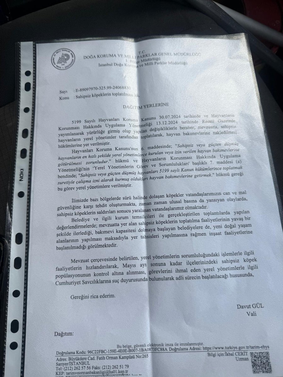 patili dostum😼🐕hak hukuk adalet tweet media